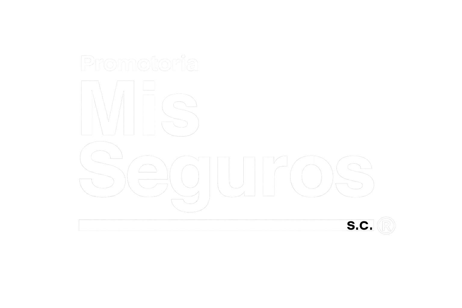 Mis Seguros